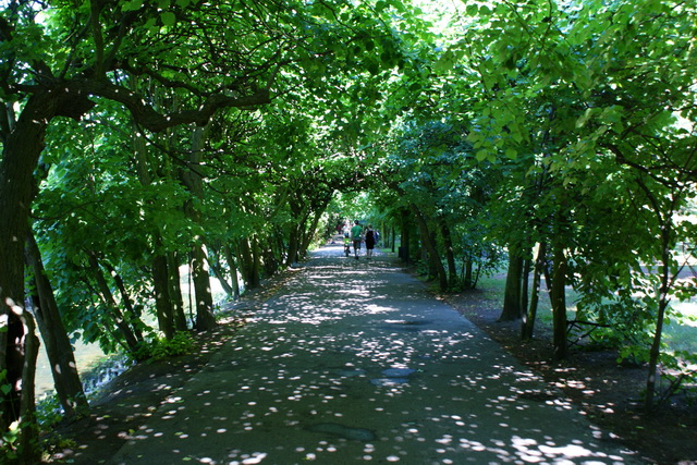 DSC05302