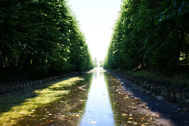 DSC05325