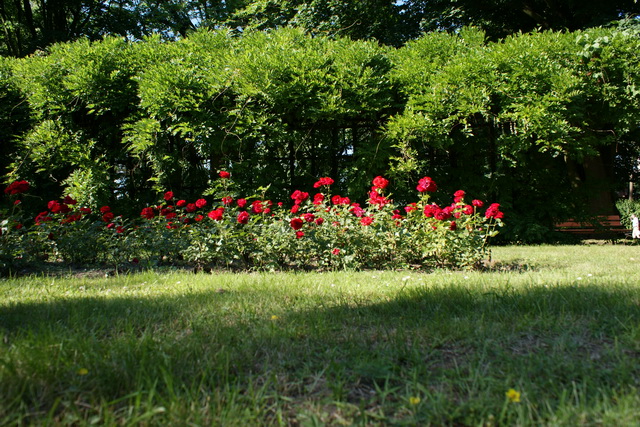 DSC05335