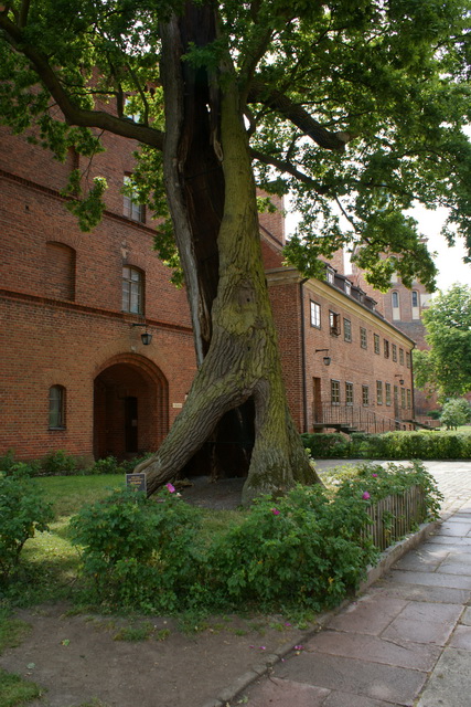 DSC05425