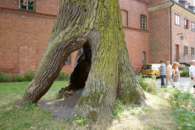 DSC05426