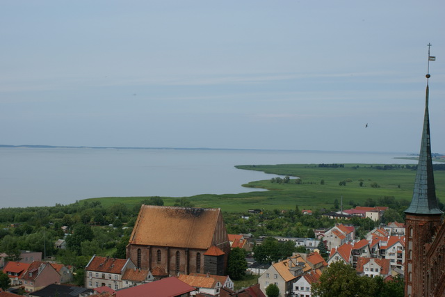 DSC05444
