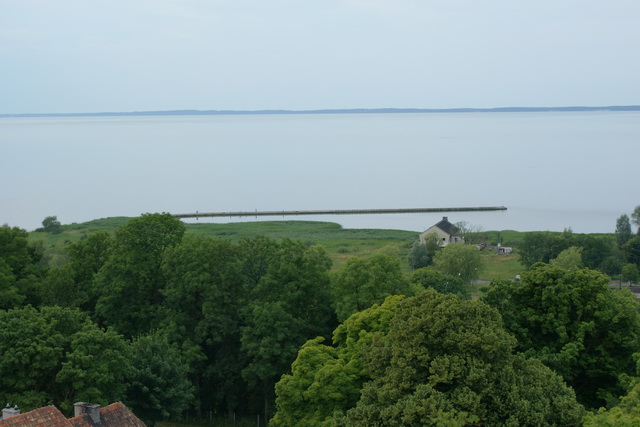 DSC05446