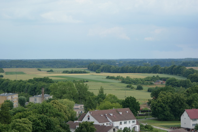 DSC05450