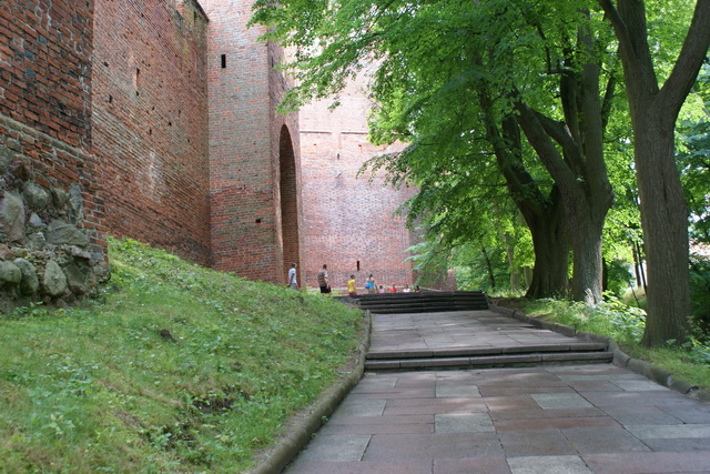 DSC05461
