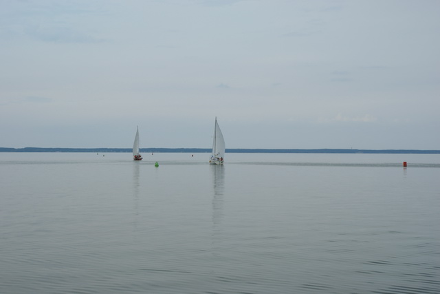 DSC05475