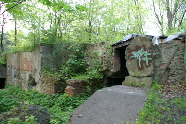 DSC04601