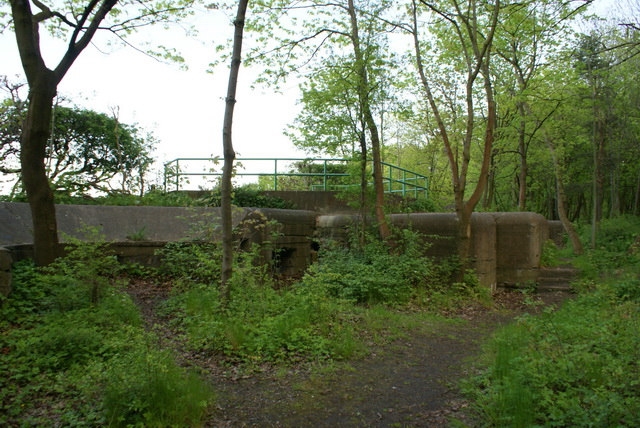 DSC04603