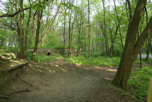 DSC04605