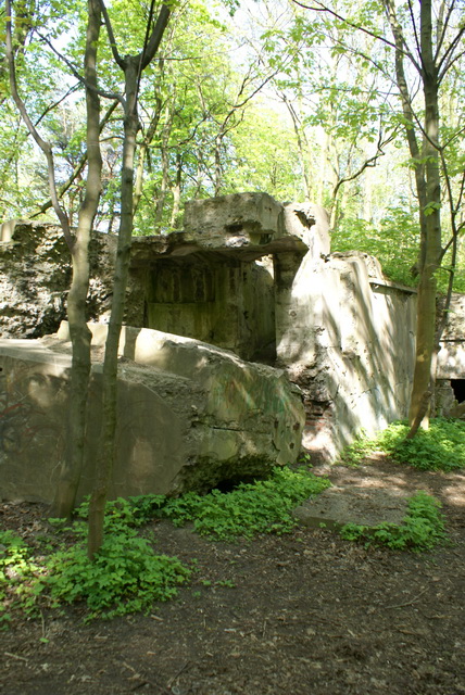 DSC04606