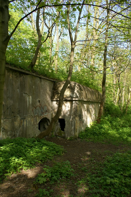 DSC04609