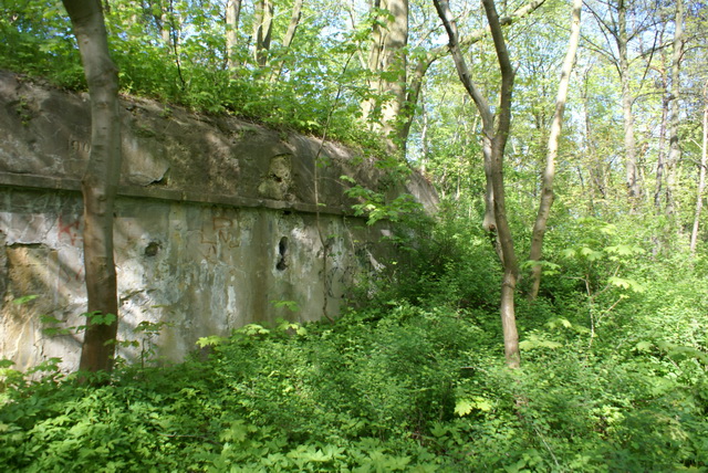 DSC04611