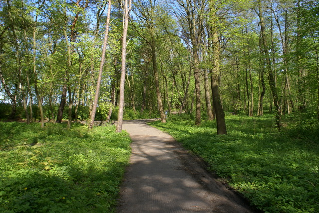 DSC04612