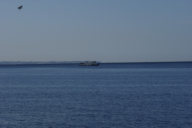 DSC04690