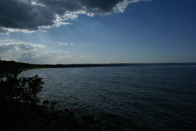 DSC04716