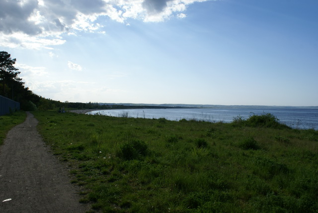 DSC04717