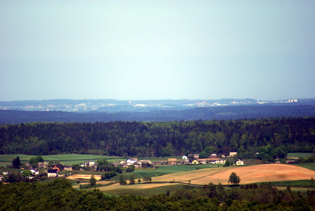 DSC04741