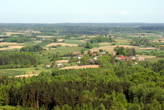DSC04742
