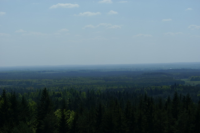 DSC04745