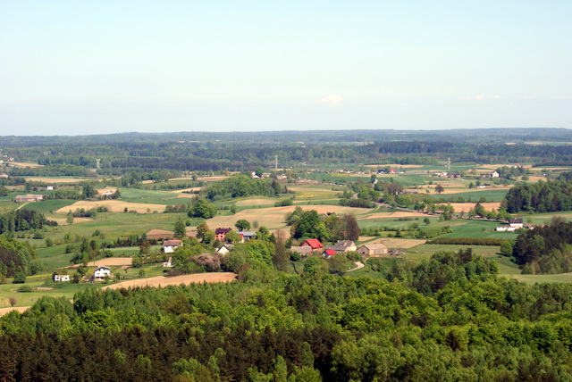 DSC04750