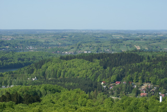 DSC04753
