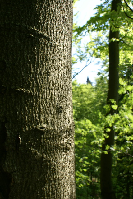 DSC04821