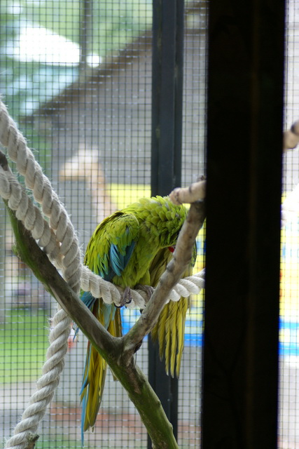 DSC05610