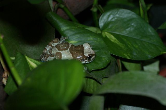 DSC05627