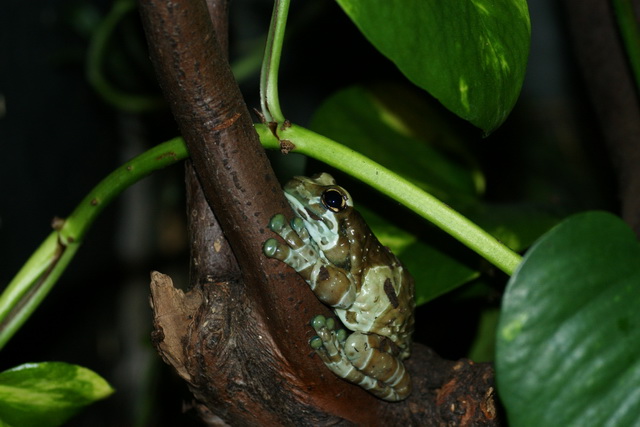 DSC05628