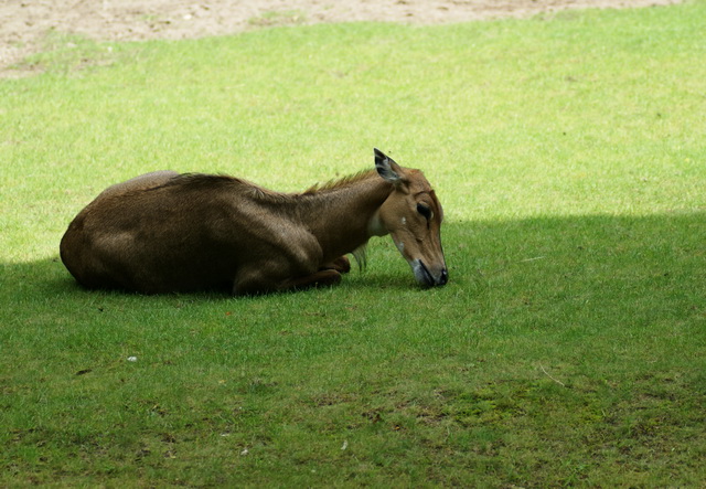 DSC05640