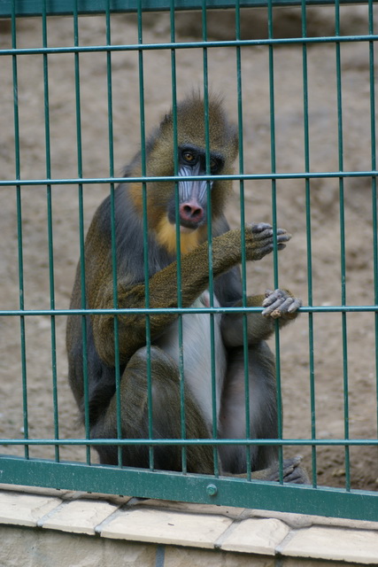 DSC05654