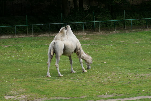 DSC05740
