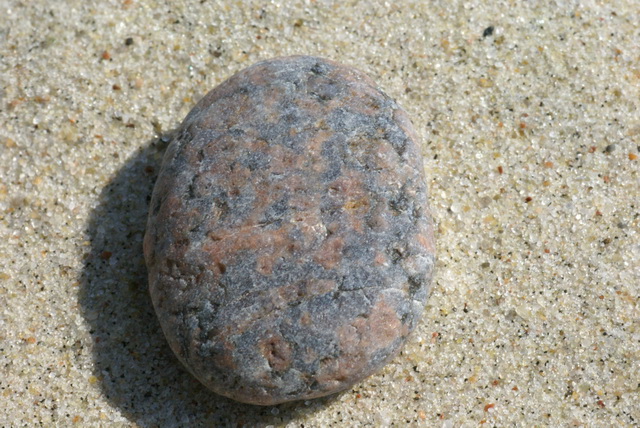 DSC04464