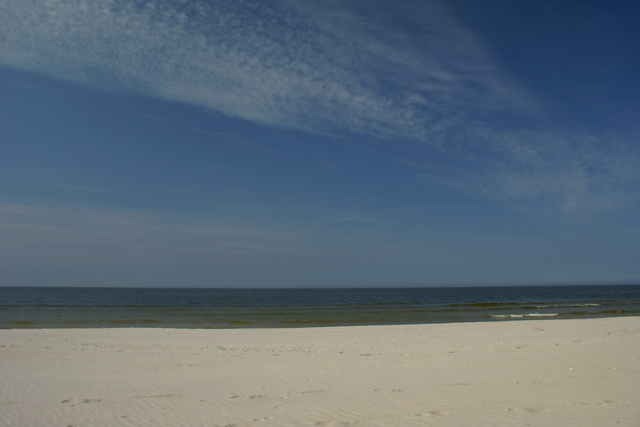 DSC04489