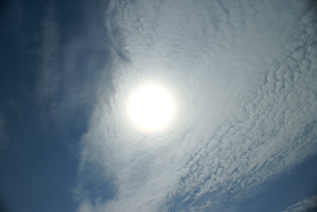 DSC04496