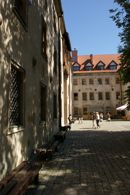 DSC05768