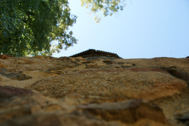 DSC05784