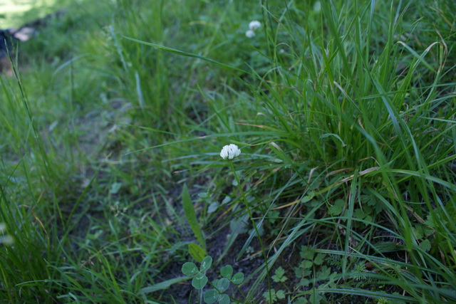 DSC05799