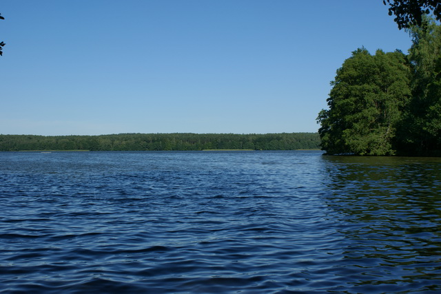 DSC05825