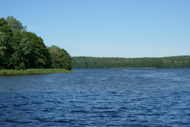 DSC05837