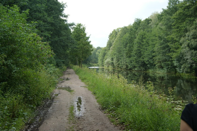 DSC06013