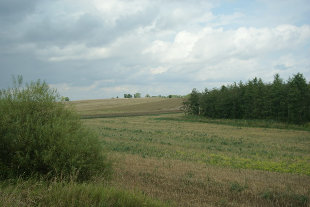 DSC06020