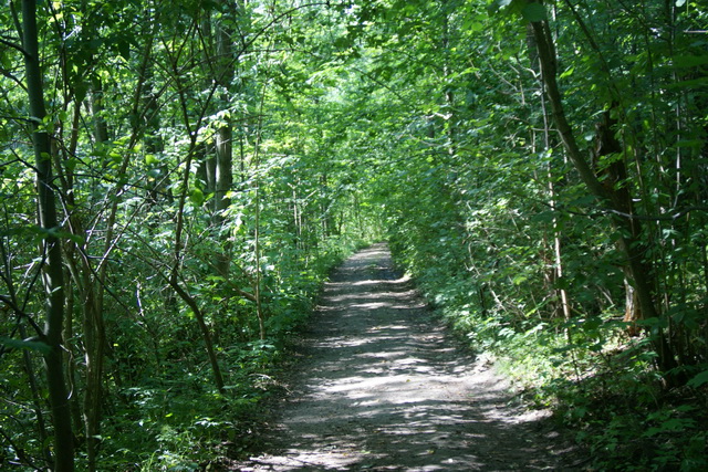 DSC06025