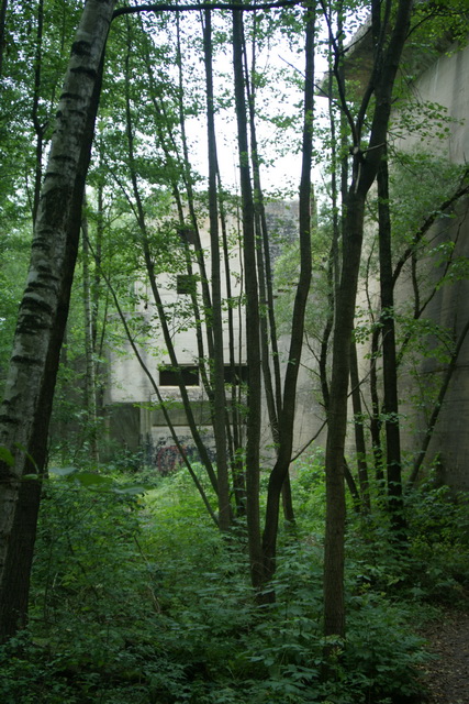 DSC06065