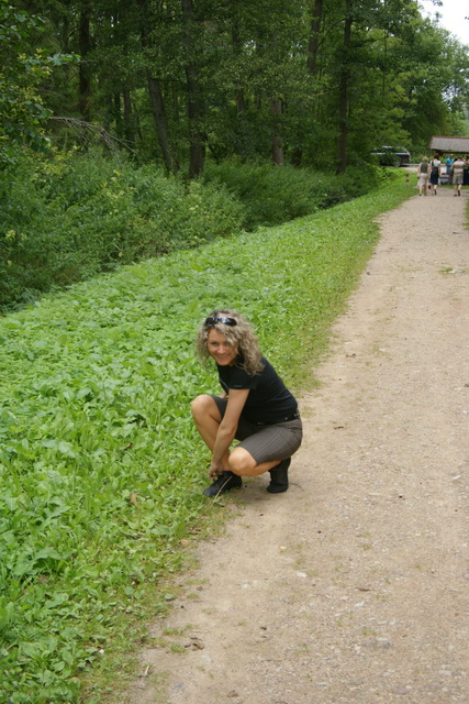DSC06079