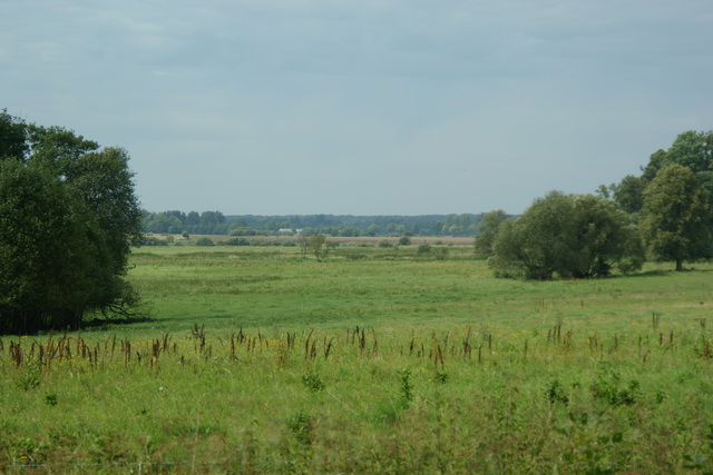 DSC06106