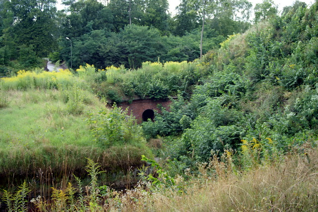 DSC06191