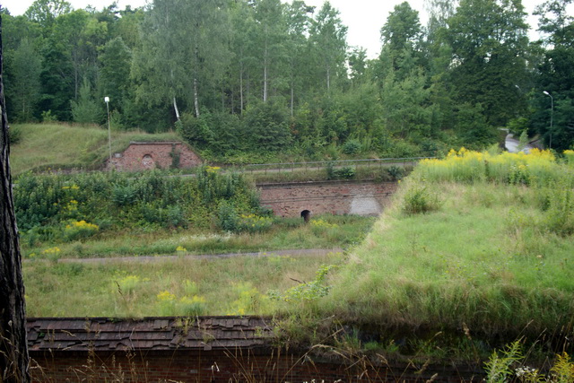 DSC06194