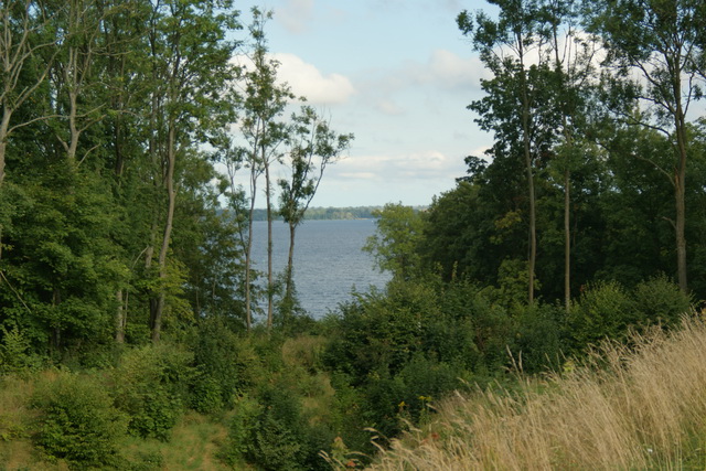 DSC06208