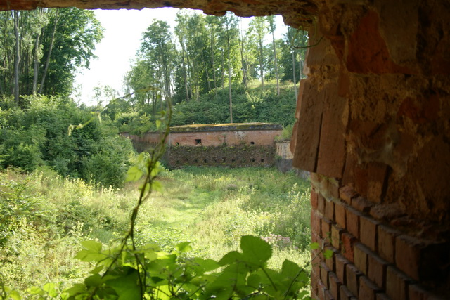 DSC06217